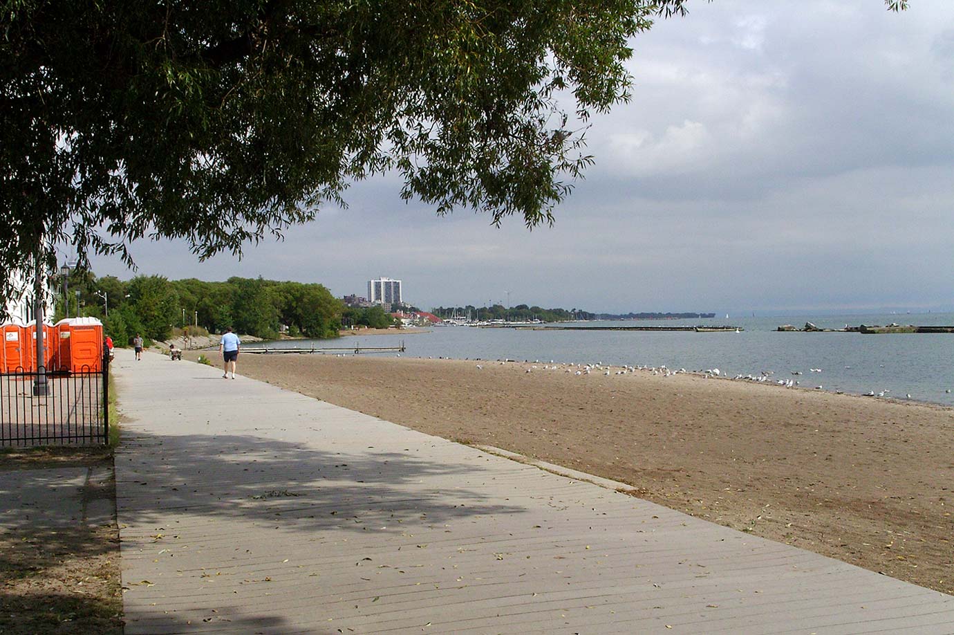 Street view of 15 Thorburn Ave, Parkdale Toronto